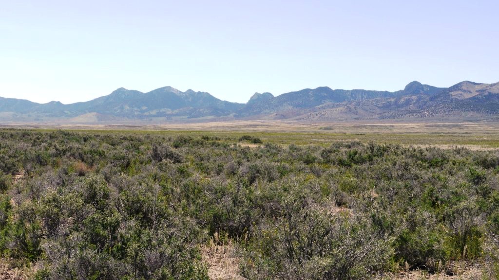 Mountain Medaow Ranches Nevada Land for Sale